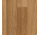 Коммерческий гетерогенный линолеум ACCZENT PRO - Oak 01 (ширина 2,5м) / Tarkett